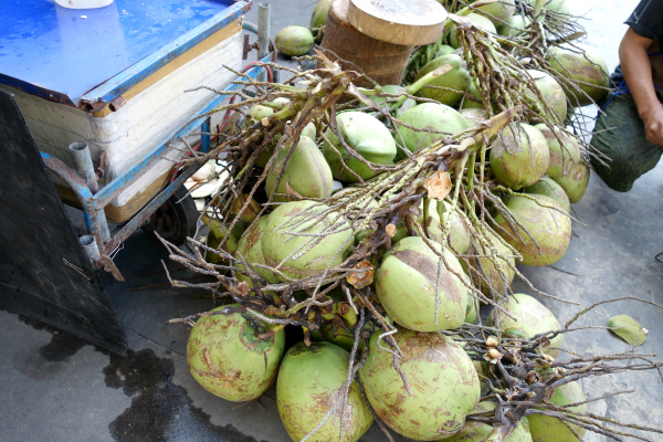 Thailand Kokosnüsse